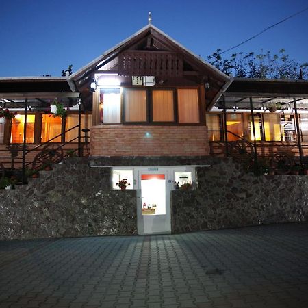 Pensiunea Irina Brad (Hunedoara) Exterior foto
