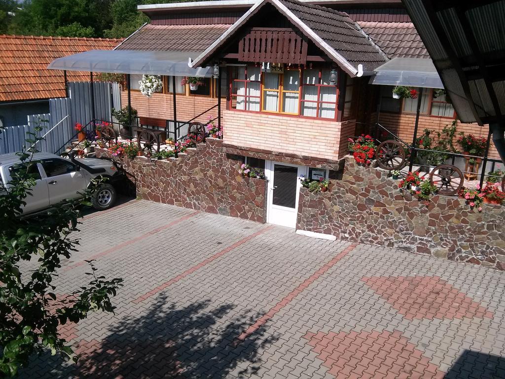 Pensiunea Irina Brad (Hunedoara) Exterior foto