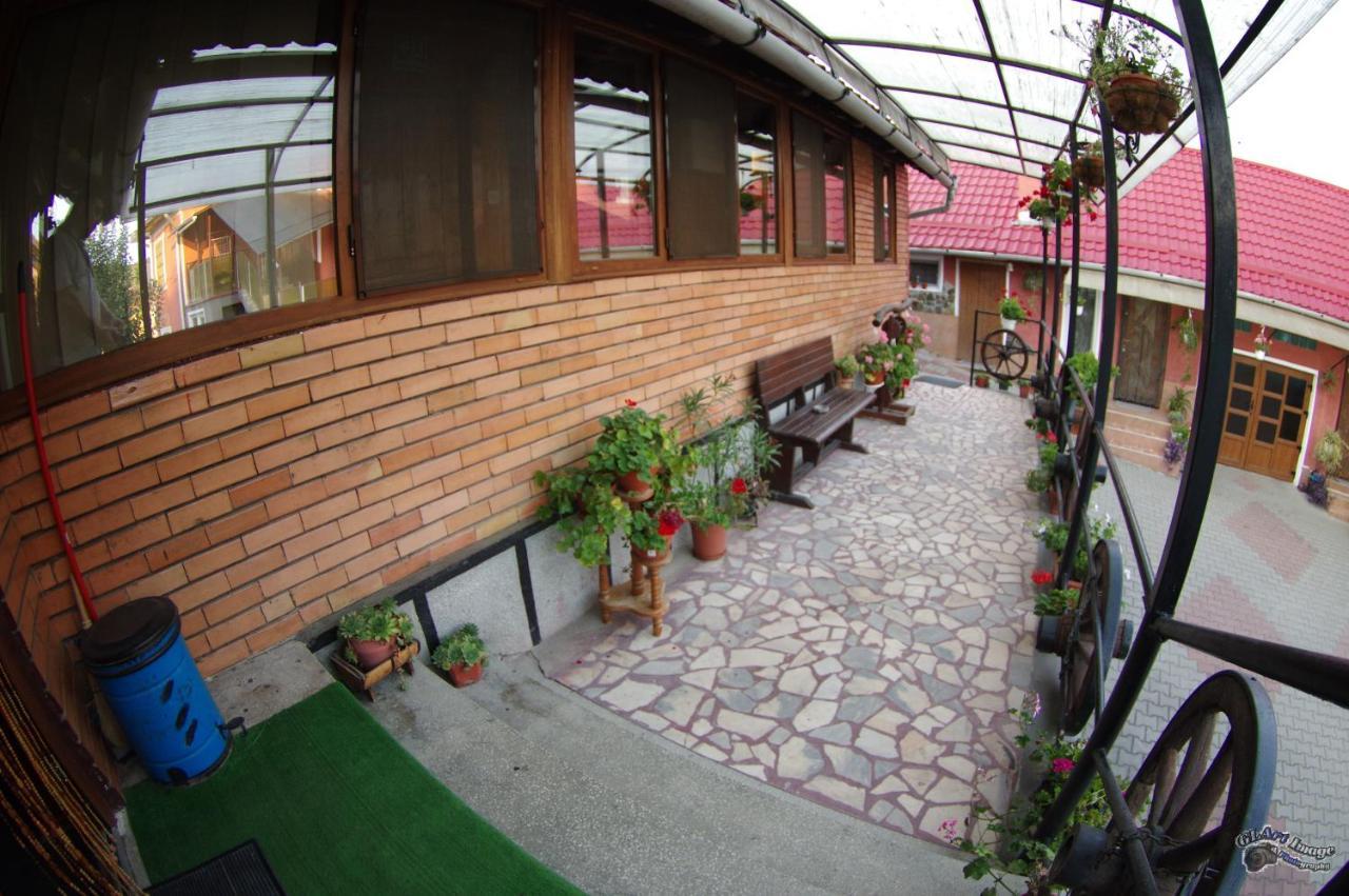 Pensiunea Irina Brad (Hunedoara) Exterior foto