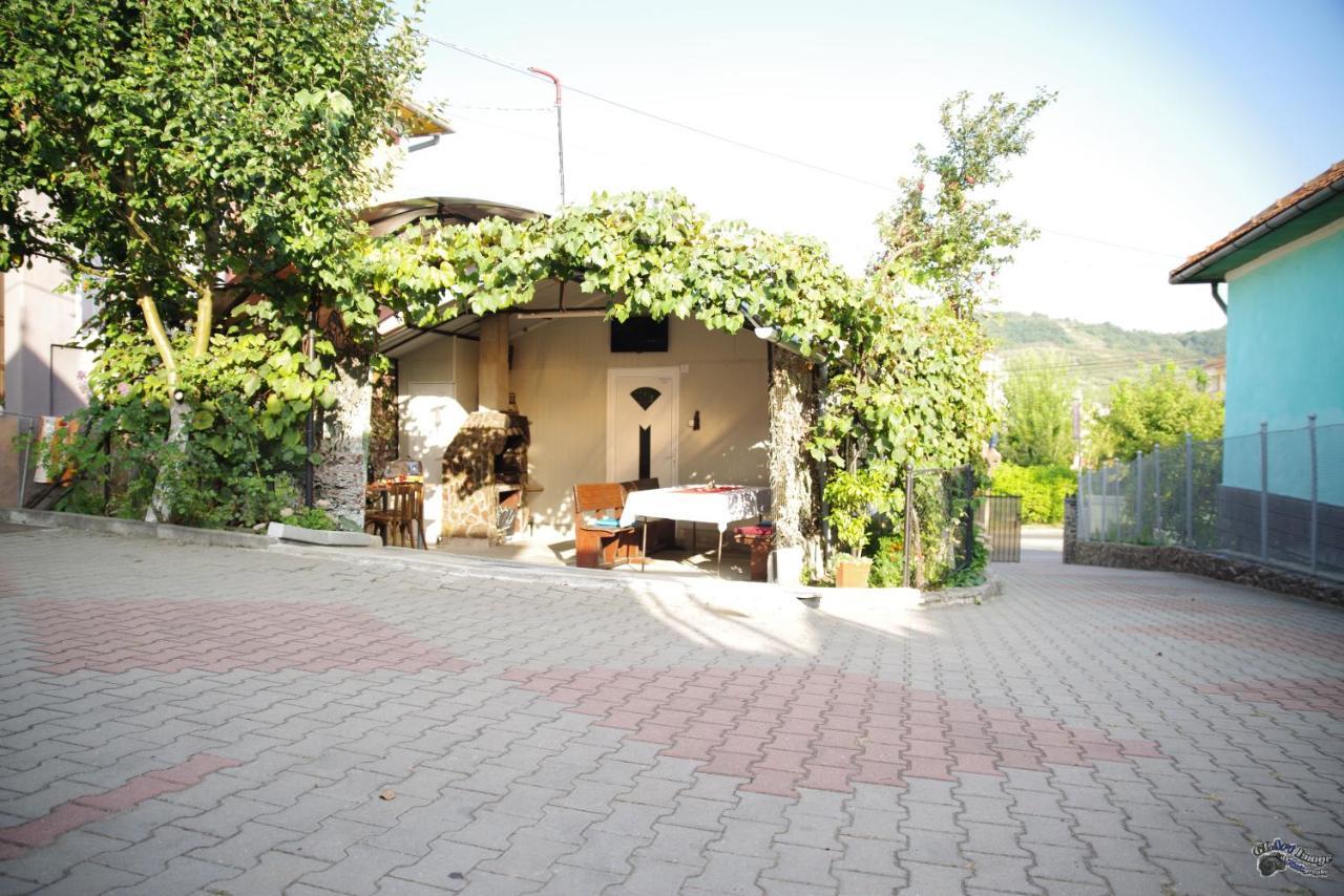 Pensiunea Irina Brad (Hunedoara) Exterior foto