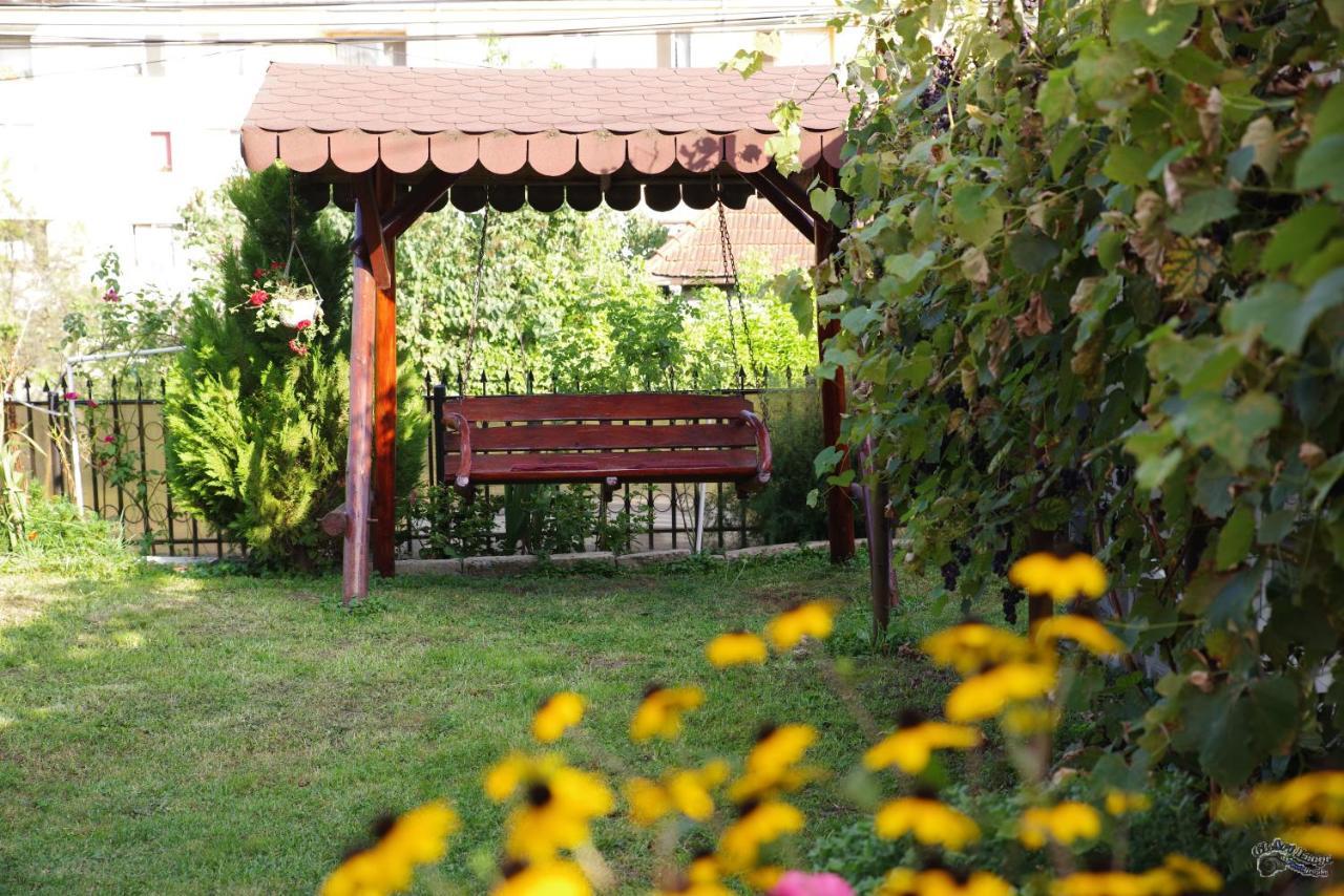 Pensiunea Irina Brad (Hunedoara) Exterior foto