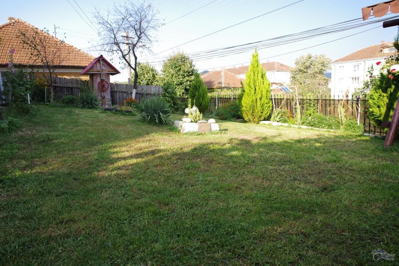 Pensiunea Irina Brad (Hunedoara) Exterior foto