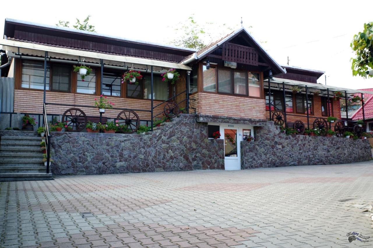 Pensiunea Irina Brad (Hunedoara) Exterior foto