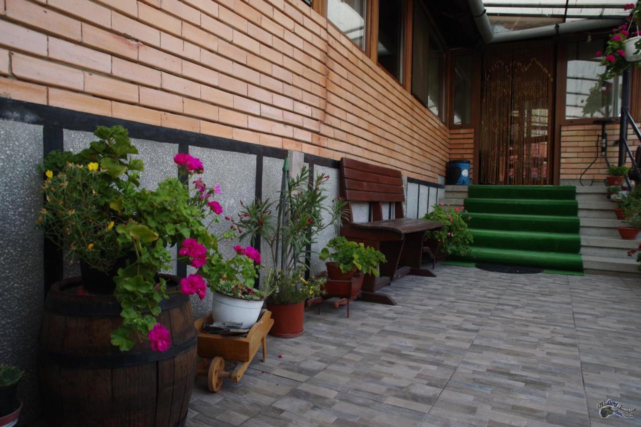 Pensiunea Irina Brad (Hunedoara) Exterior foto