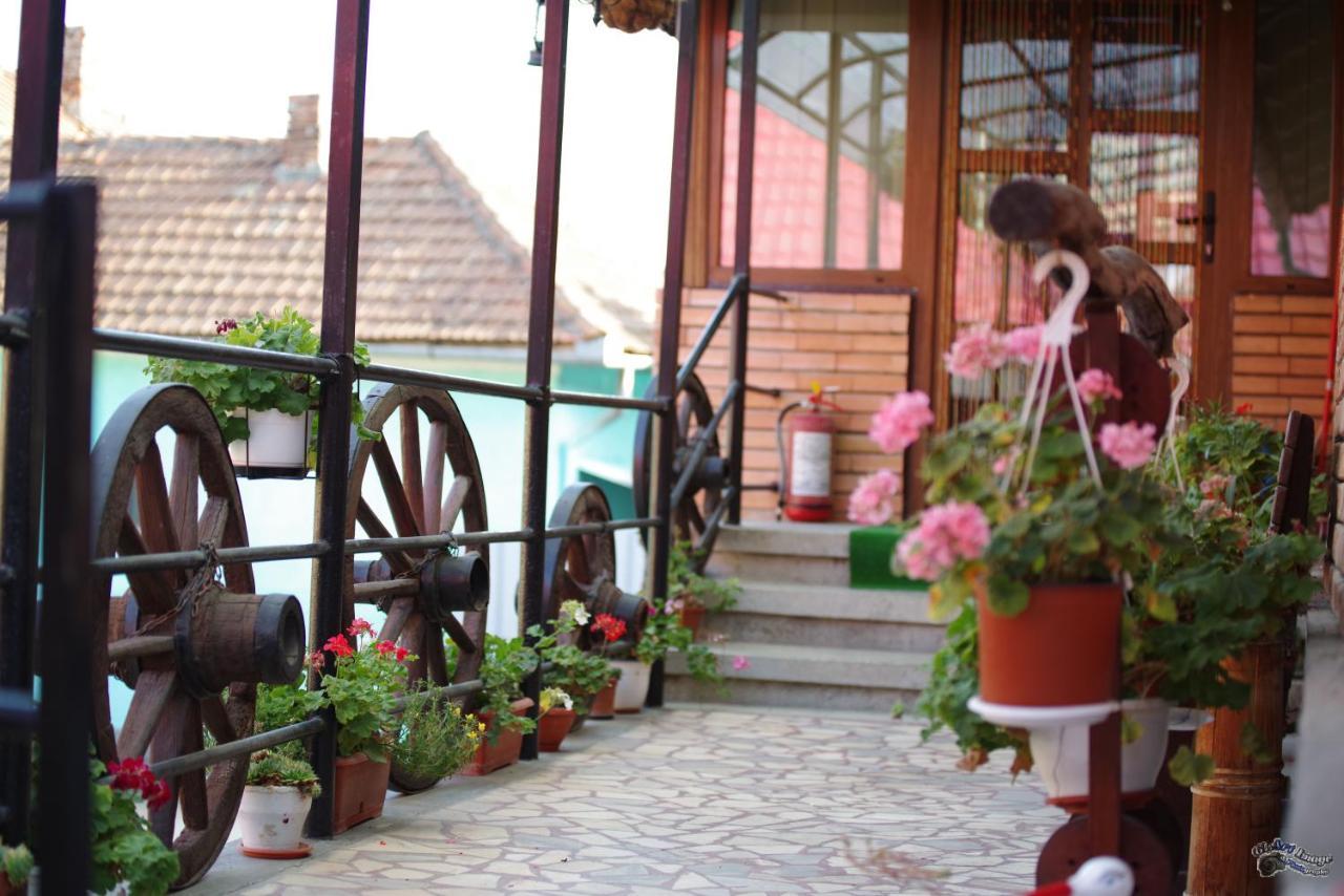 Pensiunea Irina Brad (Hunedoara) Exterior foto