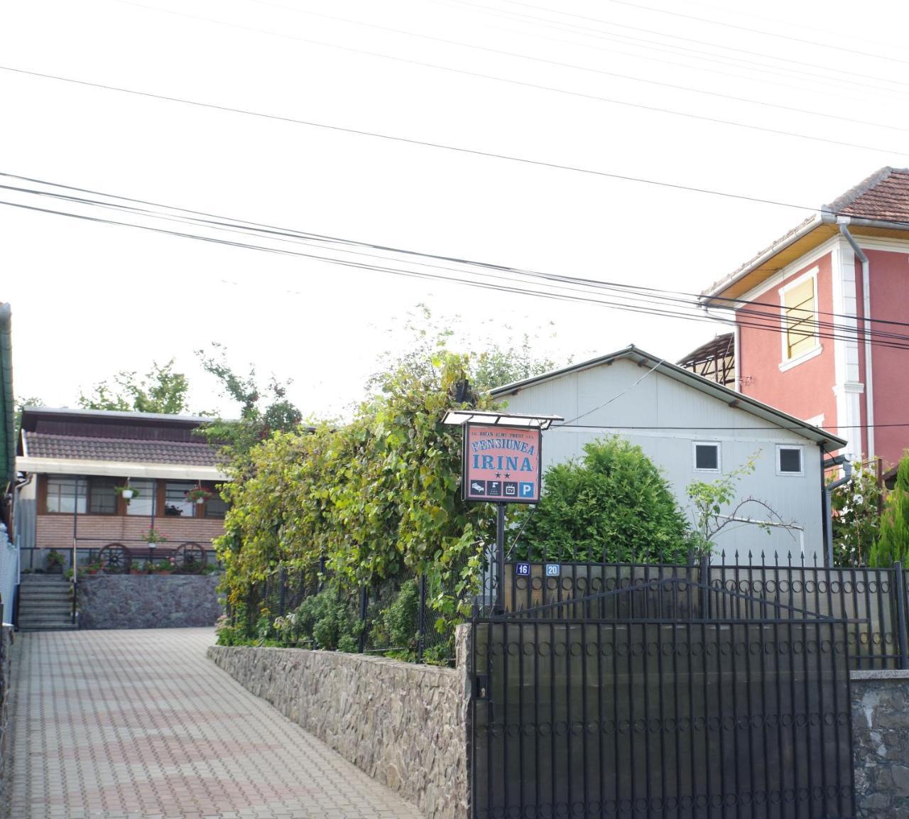 Pensiunea Irina Brad (Hunedoara) Exterior foto
